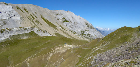 view